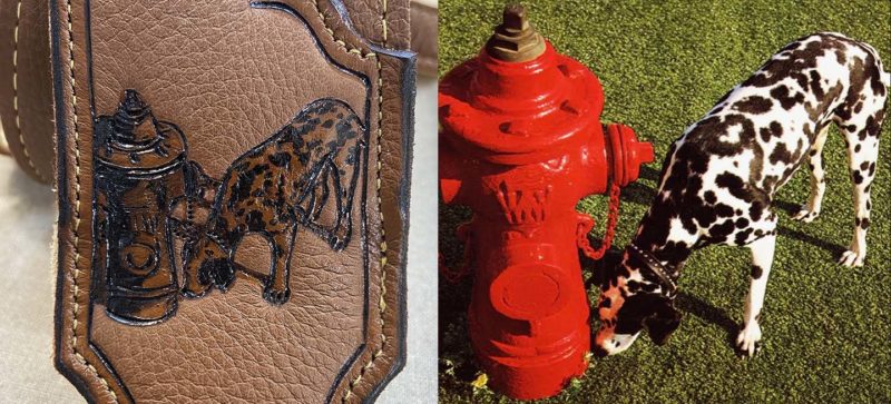 Dalmatian dog and fire hydrant pet portrait engraved on leather